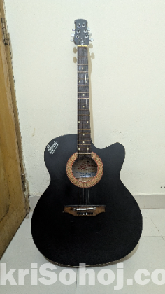 Signature guitar